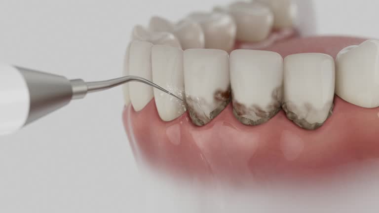 Reliable Dental contractor in Meridian, TX by Dentist Open Now